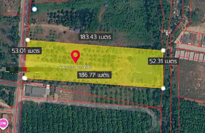 Land for sale in Pluak Daeng with a durian orchard, 5 rai, located in Soi Map Yang Phon 1, Rayong, Mapyangphon, Pluak Daeng, Rayong, , 9,520 sqm, Land For Sale, by RICHWELL INTERPLUS, 500553239 - DDproperty.com