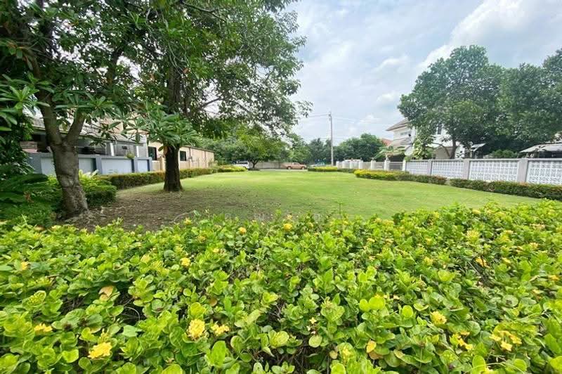 Panchasap Park Pinklao, Bangkok, Sala Thammasop, Thawi Watthana, Bangkok, 4 Bedrooms, 200 sqm, Single Detached House For Sale, by คุณเอ, 500553270 - DDproperty.com