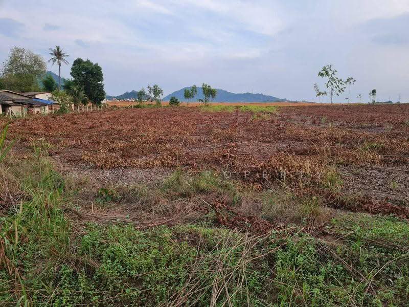 ที่ดินติดนิคม WHA บ้านบึง ชลบุรี, Chon Buri (Pattaya), Khlong Kiu, Ban Bung, Chon Buri (Pattaya), , 50,184 sqm, Land For Sale, by A.T.A. Property, 500553314 - DDproperty.com