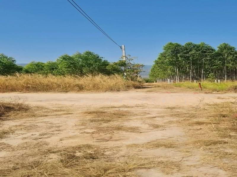 ที่ดินติดนิคม WHA บ้านบึง ชลบุรี, Chon Buri (Pattaya), Khlong Kiu, Ban Bung, Chon Buri (Pattaya), , 50,184 sqm, Land For Sale, by A.T.A. Property, 500553314 - DDproperty.com