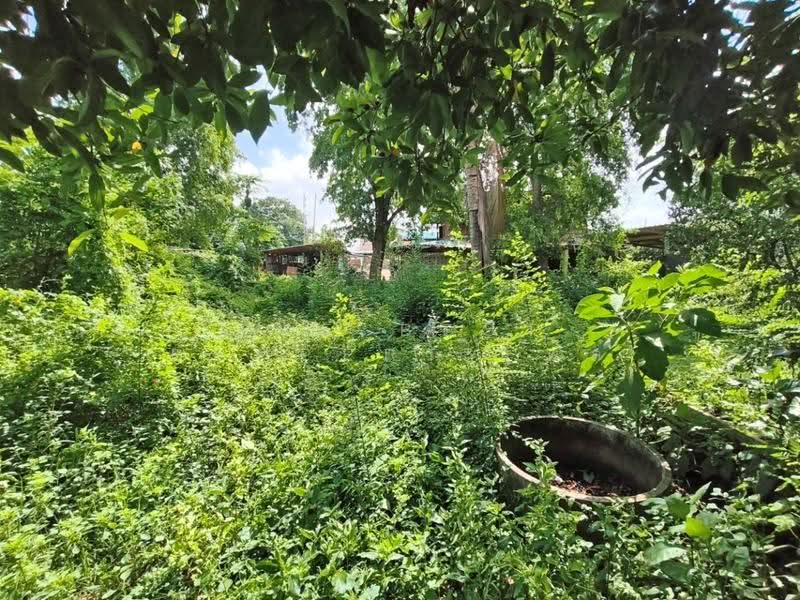 บ้านเดี่ยวพร้อมที่ดินบ้านโป่ง ราชบุรี, Ratchaburi, Boek Phrai, Ban Pong, Ratchaburi, 2 Bedrooms, 100 sqm, Single Detached House For Sale, by The Best Property พล, 500553420 - DDproperty.com