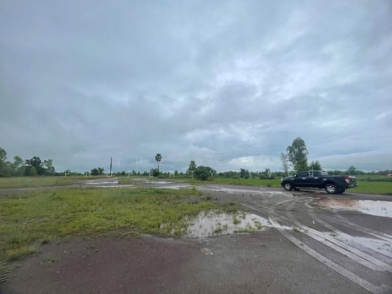 ที่ดิน เนื้อที่ 3 ไร่ 28 ตร.วา พังโคน สกลนคร, Sakon Nakhon, Muang Khai, Phang Khon, Sakon Nakhon, , 9,828 sqm, Land For Sale, by The Best Property เจนนี่, 500553540 - DDproperty.com
