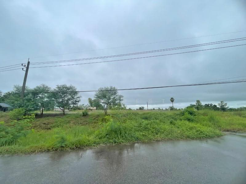 ที่ดิน เนื้อที่ 3 ไร่ 28 ตร.วา พังโคน สกลนคร, Sakon Nakhon, Muang Khai, Phang Khon, Sakon Nakhon, , 9,828 sqm, Land For Sale, by The Best Property เจนนี่, 500553540 - DDproperty.com