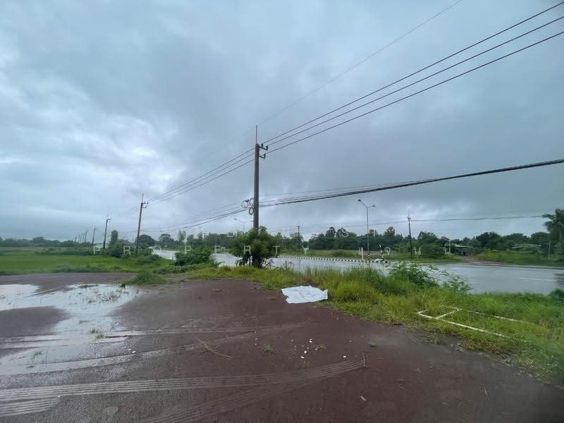 ที่ดิน เนื้อที่ 3 ไร่ 28 ตร.วา พังโคน สกลนคร, Sakon Nakhon, Muang Khai, Phang Khon, Sakon Nakhon, , 9,828 sqm, Land For Sale, by The Best Property เจนนี่, 500553540 - DDproperty.com