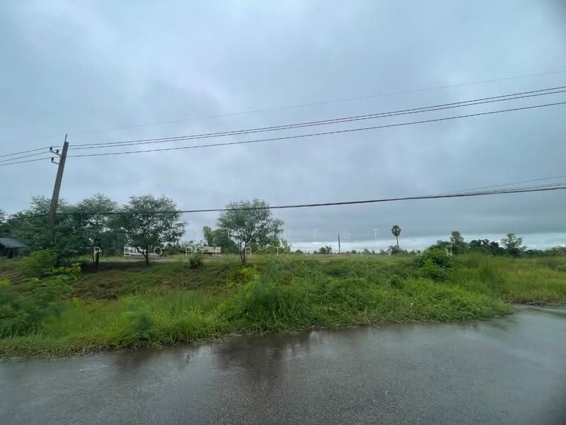 ที่ดิน เนื้อที่ 3 ไร่ 28 ตร.วา พังโคน สกลนคร, Sakon Nakhon, Muang Khai, Phang Khon, Sakon Nakhon, , 9,828 sqm, Land For Sale, by The Best Property เจนนี่, 500553540 - DDproperty.com