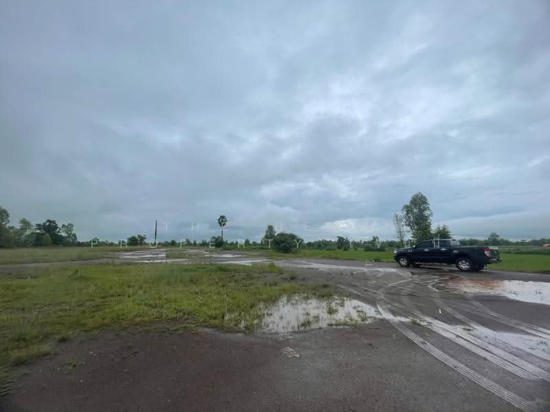 ที่ดิน เนื้อที่ 3 ไร่ 28 ตร.วา พังโคน สกลนคร, Sakon Nakhon, Muang Khai, Phang Khon, Sakon Nakhon, , 9,828 sqm, Land For Sale, by The Best Property เจนนี่, 500553540 - DDproperty.com