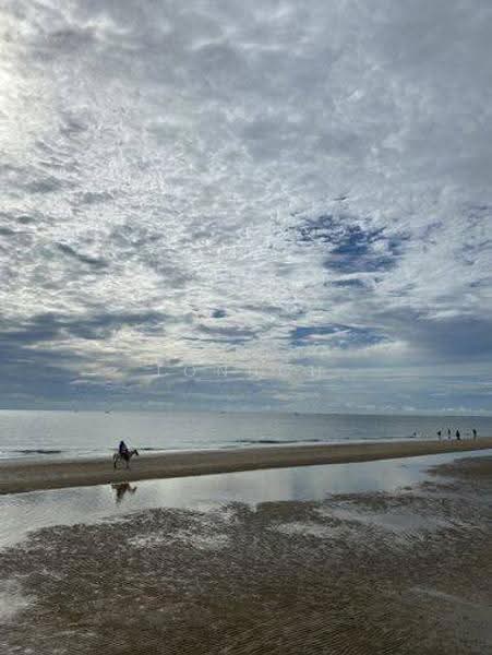 Amari Residences Hua Hin : อมารี เรสซิเดนซ์ หัวหิน, ประจวบคีรีขันธ์, ซอยหัวหิน 87, หนองแก, หัวหิน, ประจวบคีรีขันธ์, 45 ตร.ม., คอนโด ขาย, โดย Melinda Lonuch, 500553576 - DDproperty.com