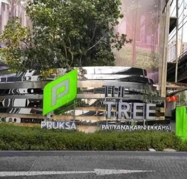 The Tree Pattanakarn-Ekkamai : เดอะ ทรี พัฒนาการ-เอกมัย, กรุงเทพ, 89 ถนนพัฒนาการ, สวนหลวง, กรุงเทพ, 35 ตร.ม., คอนโด ให้เช่า, โดย Natthaya Ninkhwan, 500553617 - DDproperty.com