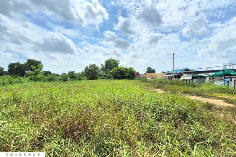 Land in Bang Pa-in, 164 Sq. Wah, Phra Nakhon Si Ayutthaya BO-02017, Phra Nakhon Si Ayutthaya, Chiang Rak Noi, Bang Pa-In, Phra Nakhon Si Ayutthaya, , 656 sqm, Land For Sale, by Benchawarin Pakkawetppisit, 500553620 - DDproperty.com