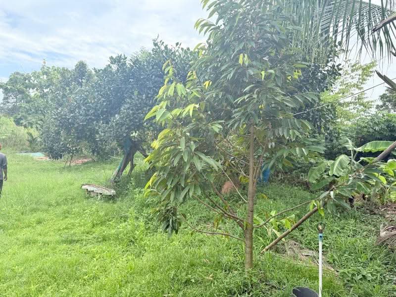 ที่ดินพร้อมสิ่งปลูกสร้างท่าใหม่ จันทบุรี, Chanthaburi, Khlong Khut, Tha Mai, Chanthaburi, , 5,184 sqm, Land For Sale, by The Best Property  เมญ่า, 500553622 - DDproperty.com