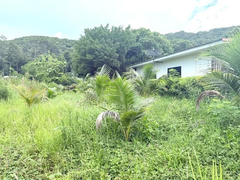 ที่ดินพร้อมสิ่งปลูกสร้างท่าใหม่ จันทบุรี, Chanthaburi, Khlong Khut, Tha Mai, Chanthaburi, , 5,184 sqm, Land For Sale, by The Best Property  เมญ่า, 500553622 - DDproperty.com