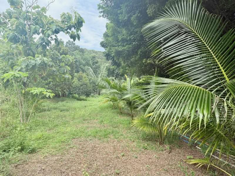 ที่ดินพร้อมสิ่งปลูกสร้างท่าใหม่ จันทบุรี, Chanthaburi, Khlong Khut, Tha Mai, Chanthaburi, , 5,184 sqm, Land For Sale, by The Best Property  เมญ่า, 500553622 - DDproperty.com