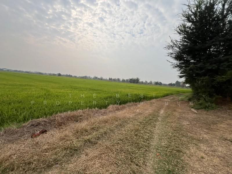 ที่ดินสากเหล็ก พิจิตร, พิจิตร, สากเหล็ก, พิจิตร, 20,884 ตร.ม., ที่ดิน ขาย, โดย The Best Property แก้มบุ๋ม, 500553651 - DDproperty.com