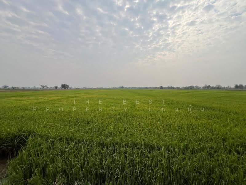 ที่ดินสากเหล็ก พิจิตร, พิจิตร, สากเหล็ก, พิจิตร, 20,884 ตร.ม., ที่ดิน ขาย, โดย The Best Property แก้มบุ๋ม, 500553651 - DDproperty.com