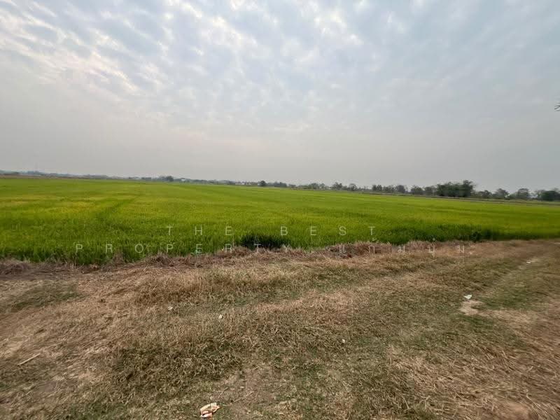 ที่ดินสากเหล็ก พิจิตร, พิจิตร, สากเหล็ก, พิจิตร, 20,884 ตร.ม., ที่ดิน ขาย, โดย The Best Property แก้มบุ๋ม, 500553651 - DDproperty.com