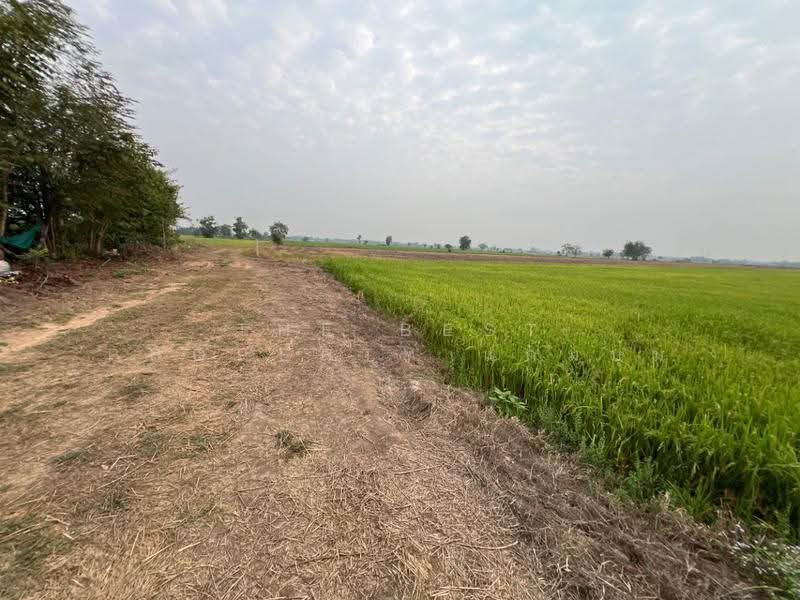 ที่ดินสากเหล็ก พิจิตร, พิจิตร, สากเหล็ก, พิจิตร, 20,884 ตร.ม., ที่ดิน ขาย, โดย The Best Property แก้มบุ๋ม, 500553651 - DDproperty.com