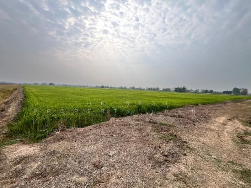 ที่ดินสากเหล็ก พิจิตร, พิจิตร, สากเหล็ก, พิจิตร, 20,884 ตร.ม., ที่ดิน ขาย, โดย The Best Property แก้มบุ๋ม, 500553651 - DDproperty.com