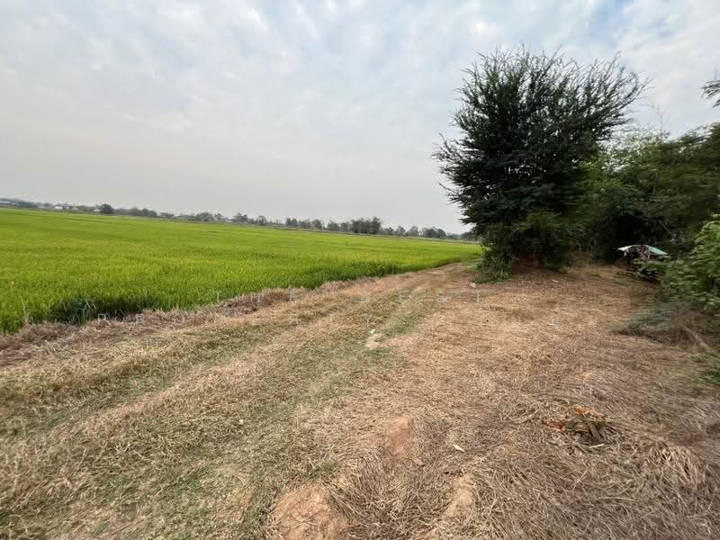 ที่ดินสากเหล็ก พิจิตร, พิจิตร, สากเหล็ก, พิจิตร, 20,884 ตร.ม., ที่ดิน ขาย, โดย The Best Property แก้มบุ๋ม, 500553651 - DDproperty.com
