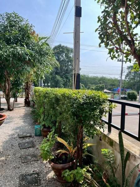 โครงการบ้านวโรรส11 (Baan Warorose11) ระยอง, ระยอง, นิคมพัฒนา, ระยอง, 100 ตร.ม., บ้านเดี่ยว ขาย, โดย The Best Property หนิง, 500553675 - DDproperty.com