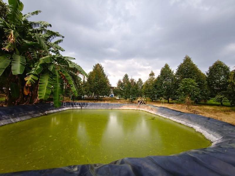 บ้านเดี่ยวพร้อมที่ดินท่าใหม่ จันทบุรี, Chanthaburi, Kao Kaeo, Tha Mai, Chanthaburi, 1 Bedroom, 150 sqm, Single Detached House For Sale, by The Best Property ป้อ, 500553701 - DDproperty.com