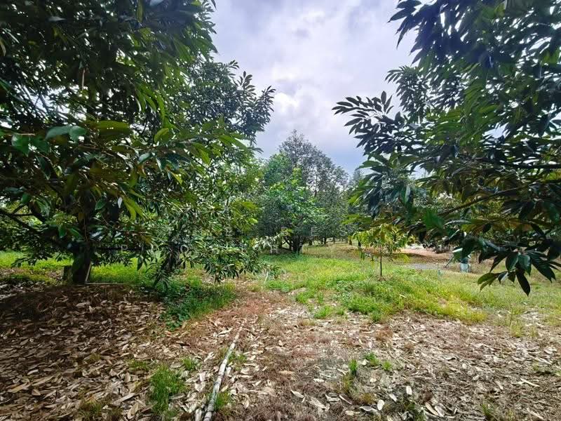 บ้านเดี่ยวพร้อมที่ดินท่าใหม่ จันทบุรี, จันทบุรี, เขาแก้ว, ท่าใหม่, จันทบุรี, 150 ตร.ม., บ้านเดี่ยว ขาย, โดย The Best Property ป้อ, 500553701 - DDproperty.com
