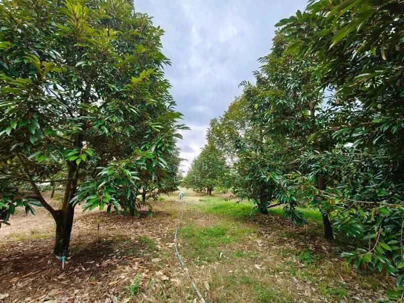 บ้านเดี่ยวพร้อมที่ดินท่าใหม่ จันทบุรี, Chanthaburi, Kao Kaeo, Tha Mai, Chanthaburi, 1 Bedroom, 150 sqm, Single Detached House For Sale, by The Best Property ป้อ, 500553701 - DDproperty.com
