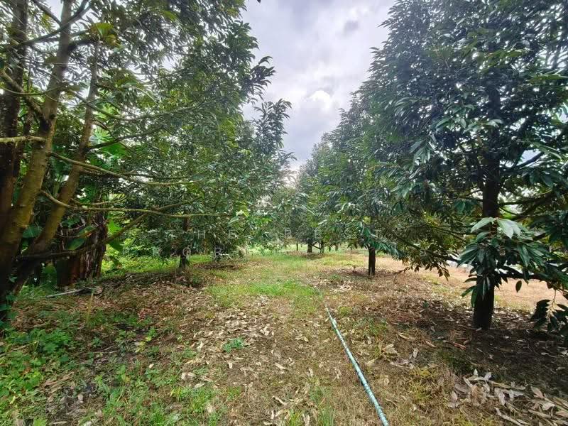 บ้านเดี่ยวพร้อมที่ดินท่าใหม่ จันทบุรี, Chanthaburi, Kao Kaeo, Tha Mai, Chanthaburi, 1 Bedroom, 150 sqm, Single Detached House For Sale, by The Best Property ป้อ, 500553701 - DDproperty.com