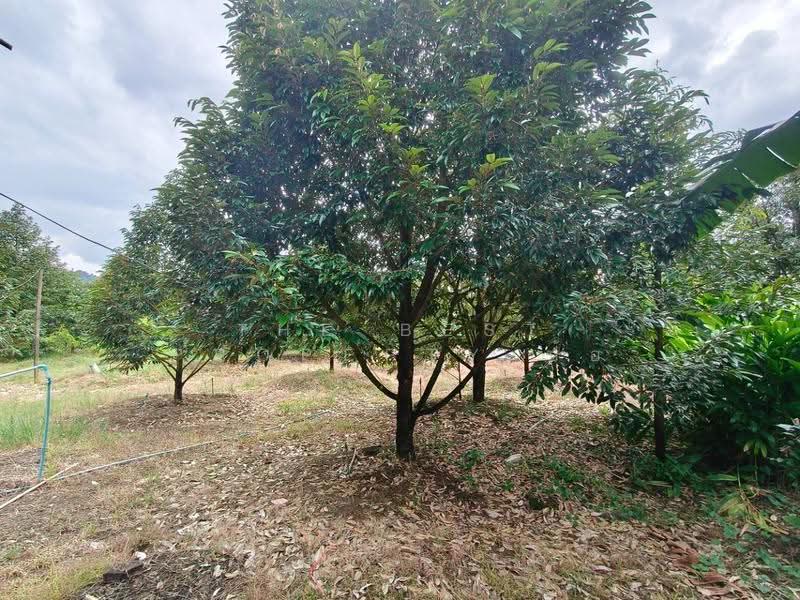 บ้านเดี่ยวพร้อมที่ดินท่าใหม่ จันทบุรี, Chanthaburi, Kao Kaeo, Tha Mai, Chanthaburi, 1 Bedroom, 150 sqm, Single Detached House For Sale, by The Best Property ป้อ, 500553701 - DDproperty.com