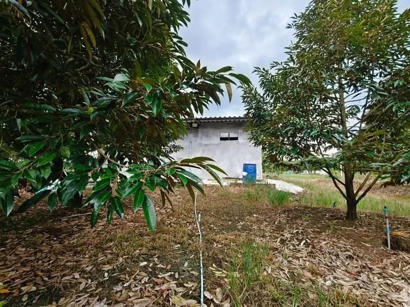 บ้านเดี่ยวพร้อมที่ดินท่าใหม่ จันทบุรี, Chanthaburi, Kao Kaeo, Tha Mai, Chanthaburi, 1 Bedroom, 150 sqm, Single Detached House For Sale, by The Best Property ป้อ, 500553701 - DDproperty.com