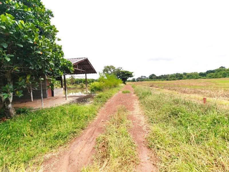 ที่ดินพร้อมสิ่งปลูกสร้างราชสาส์น ฉะเชิงเทรา, ฉะเชิงเทรา, เมืองใหม่, ราชสาส์น, ฉะเชิงเทรา, 9,708 ตร.ม., ที่ดิน ขาย, โดย The Best Property ซายน์, 500553759 - DDproperty.com