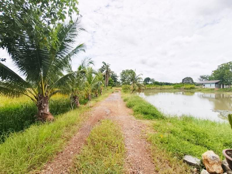 ที่ดินพร้อมสิ่งปลูกสร้างราชสาส์น ฉะเชิงเทรา, ฉะเชิงเทรา, เมืองใหม่, ราชสาส์น, ฉะเชิงเทรา, 9,708 ตร.ม., ที่ดิน ขาย, โดย The Best Property ซายน์, 500553759 - DDproperty.com