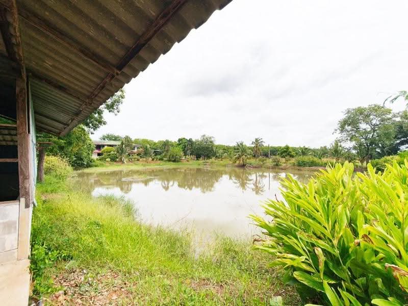 ที่ดินพร้อมสิ่งปลูกสร้างราชสาส์น ฉะเชิงเทรา, chachoengsao, Muang Mai, Ratchasan, Chachoengsao, , 9,708 sqm, Land For Sale, by The Best Property ซายน์, 500553759 - DDproperty.com