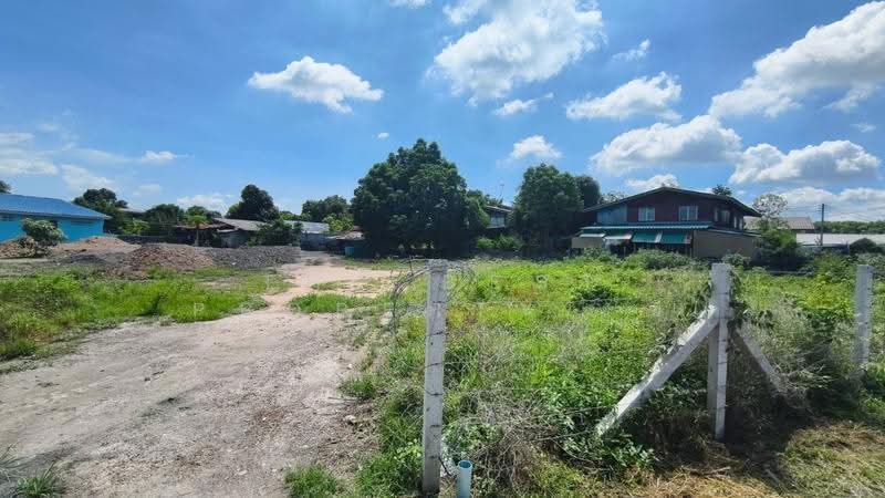 ที่ดินแปลงยาว ฉะเชิงเทรา, ฉะเชิงเทรา, หัวสำโรง, แปลงยาว, ฉะเชิงเทรา, 800 ตร.ม., ที่ดิน ขาย, โดย The Best Property ซี, 500553807 - DDproperty.com