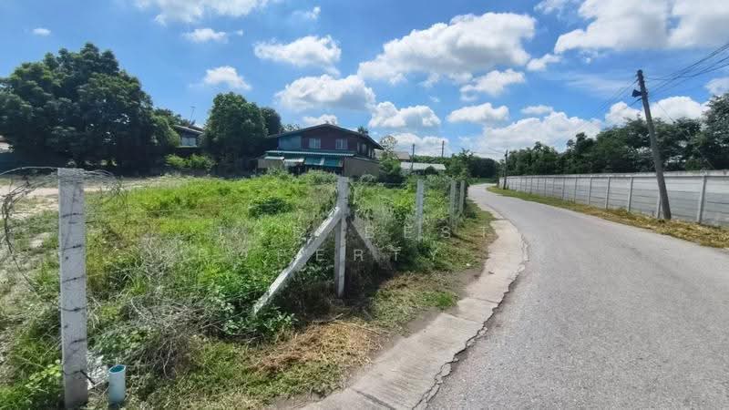 ที่ดินแปลงยาว ฉะเชิงเทรา, ฉะเชิงเทรา, หัวสำโรง, แปลงยาว, ฉะเชิงเทรา, 800 ตร.ม., ที่ดิน ขาย, โดย The Best Property ซี, 500553807 - DDproperty.com