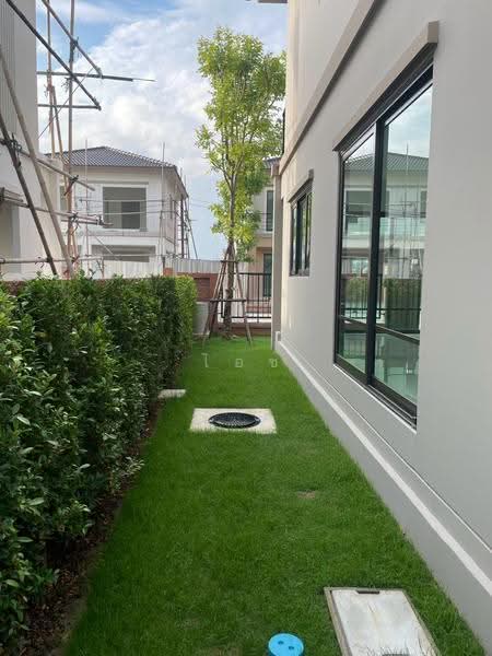 เดอะ แพลนท์ รังสิต อเวนิว(The Plant Rangsit Avenue), ปทุมธานี, Rangsit-Nakhon Nayok, Khlong Luang, ประชาธิปัตย์, ธัญบุรี, ปทุมธานี, 139 ตร.ม., บ้านแฝด ให้เช่า, โดย ไอซ์, 500553830 - DDproperty.com