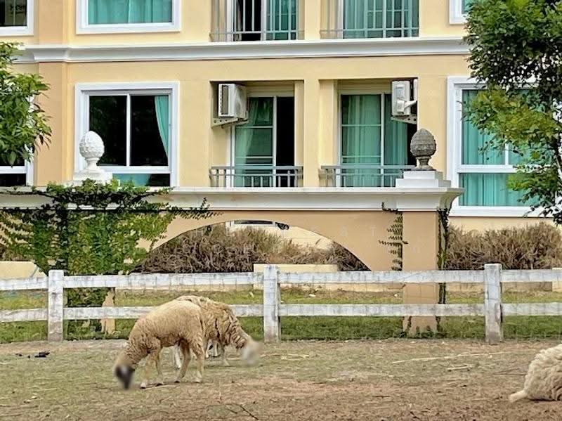 The Chiva Sanctuary Khao Yai : เดอะ ชีวา แซงทัวรี เขาใหญ่, นครราชสีมา, 117 หมู่ 4 ถนนมิตรภาพ, วังไทร, ปากช่อง, นครราชสีมา, 24 ตร.ม., คอนโด ขาย, โดย The Best Property ไก่, 500553881 - DDproperty.com