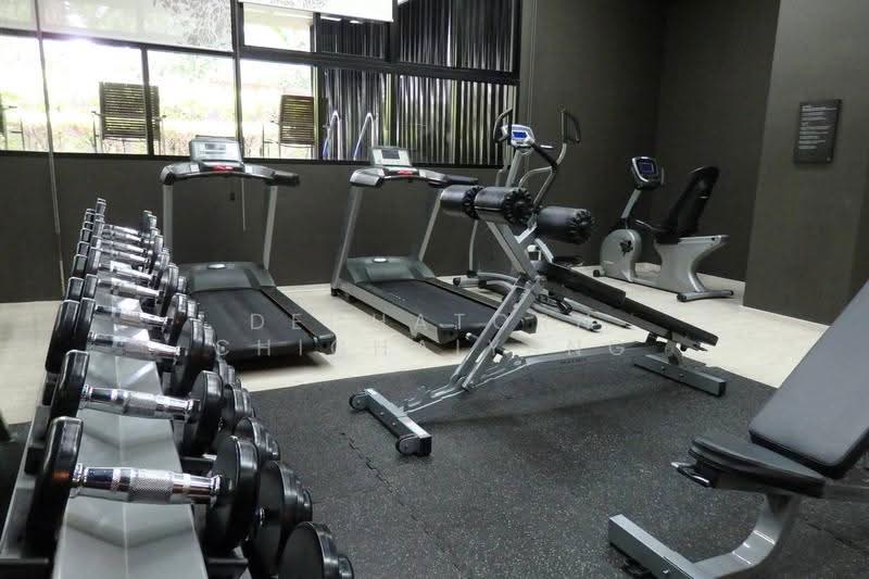 Noble Reveal, Bangkok, 36 Soi Sukhumvit 63, Ekamai Road, Phra Kanong Nua, Watthana, Bangkok, 1 Bedroom, 52 sqm, Condo For Rent, by Dechatorn Chichaiyang, 500553971 - DDproperty.com