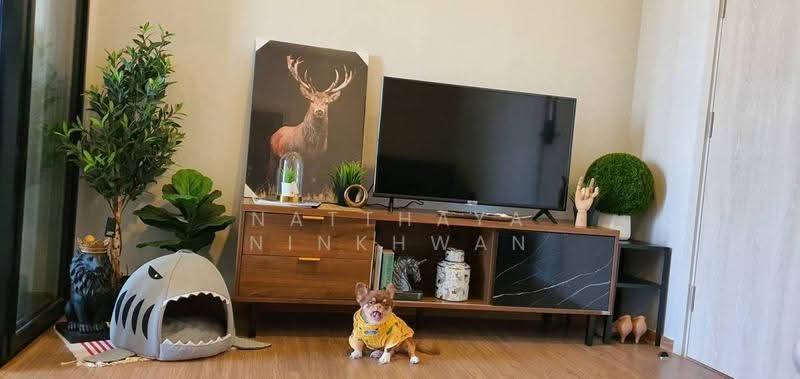 Metris Rama 9-Ramkhamheang, Bangkok, New Rama 9 Road, Hua Mak, Bang Kapi, Bangkok, 1 Bedroom, 30 sqm, Condo For Sale, by Natthaya Ninkhwan, 500553980 - DDproperty.com