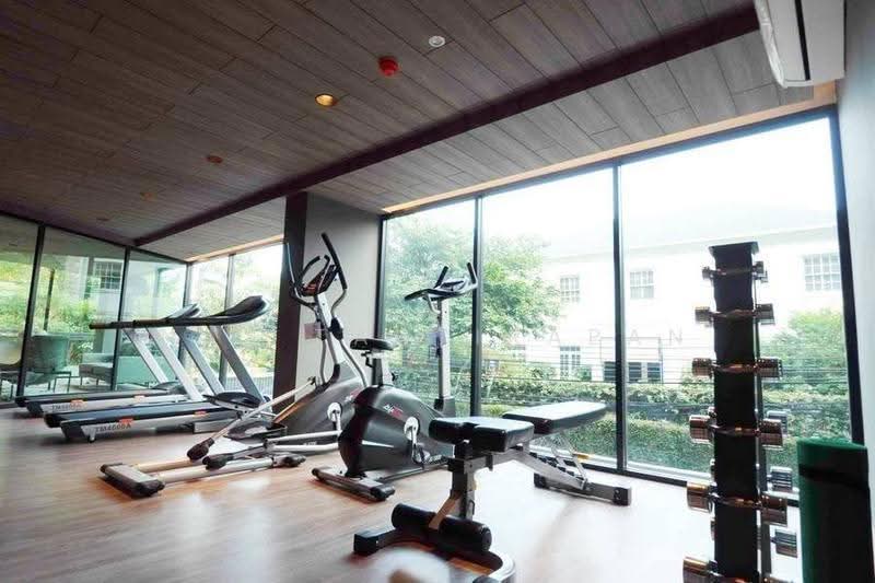 The Teak Sukhumvit 39 : เดอะ ทีค สุขุมวิท 39, กรุงเทพ, 86/2 ซอยสุขุมวิท 39, คลองตันเหนือ, วัฒนา, กรุงเทพ, 36 ตร.ม., คอนโด ให้เช่า, โดย Nat Tantirapan, 500554150 - DDproperty.com