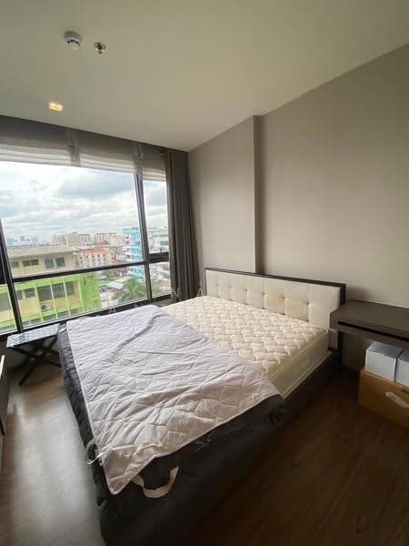 The Line Sukhumvit 71, Bangkok, 15 Sukhumvit 71 Road, Phra Kanong Nua, Watthana, Bangkok, 1 Bedroom, 42 sqm, Condo For Rent, by Nat Tantirapan, 500554169 - DDproperty.com