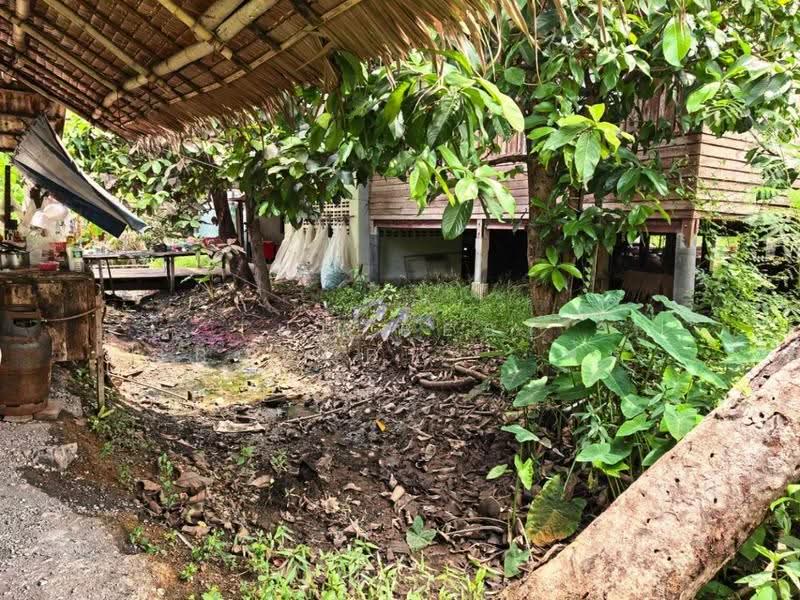 ที่ดินอัมพวา สมุทรสงคราม, Samut Songkhram, Amphawa, Amphawa, Samut Songkhram, , 792 sqm, Land For Sale, by The Best Property ต้น, 500554171 - DDproperty.com