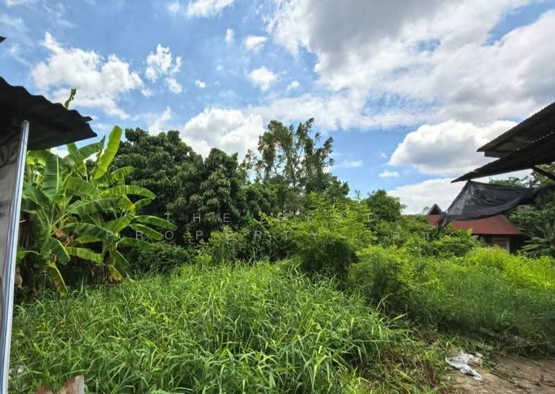 ที่ดินอัมพวา สมุทรสงคราม, Samut Songkhram, Amphawa, Amphawa, Samut Songkhram, , 792 sqm, Land For Sale, by The Best Property ต้น, 500554171 - DDproperty.com