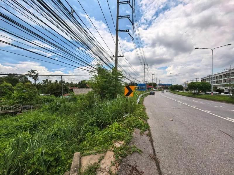 ที่ดินอัมพวา สมุทรสงคราม, สมุทรสงคราม, อัมพวา, อัมพวา, สมุทรสงคราม, 792 ตร.ม., ที่ดิน ขาย, โดย The Best Property ต้น, 500554171 - DDproperty.com