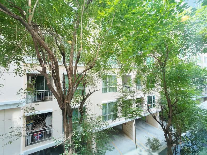 Zenith Place Sukhumvit 42, Bangkok, Sukhumvit Road, Phra Kanong, Khlong Toei, Bangkok, 1 Bedroom, 34 sqm, Condo For Rent, by Khun Nest, 500554326 - DDproperty.com