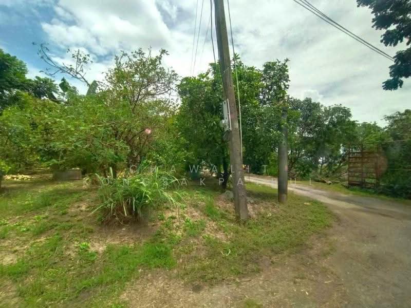 ขาย ที่ดิน 1 ไร่ ซอยสุขาภิบาล 5 ซอย18 ซอยเปลื้องอุทิศ หน้ากว้าง 31 เมตร ติดคลองหนองบัวบาน., กรุงเทพ, สุขาภิบาล 5, ท่าแร้ง, บางเขน, กรุงเทพ, 1,600 ตร.ม., ที่ดิน ขาย, โดย CHAWALIT KONGSAKPAIBUL, 500555049 - DDproperty.com
