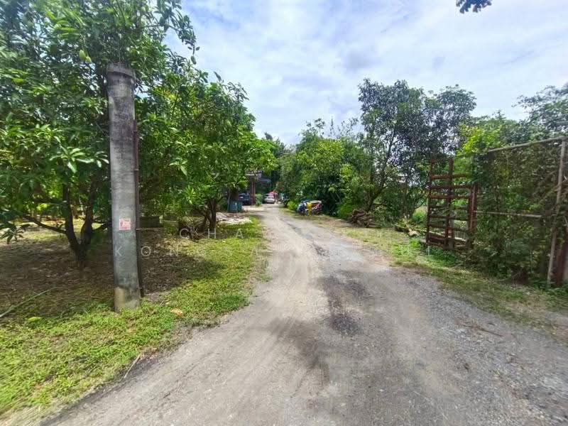 ขาย ที่ดิน 1 ไร่ ซอยสุขาภิบาล 5 ซอย18 ซอยเปลื้องอุทิศ หน้ากว้าง 31 เมตร ติดคลองหนองบัวบาน., กรุงเทพ, สุขาภิบาล 5, ท่าแร้ง, บางเขน, กรุงเทพ, 1,600 ตร.ม., ที่ดิน ขาย, โดย CHAWALIT KONGSAKPAIBUL, 500555049 - DDproperty.com