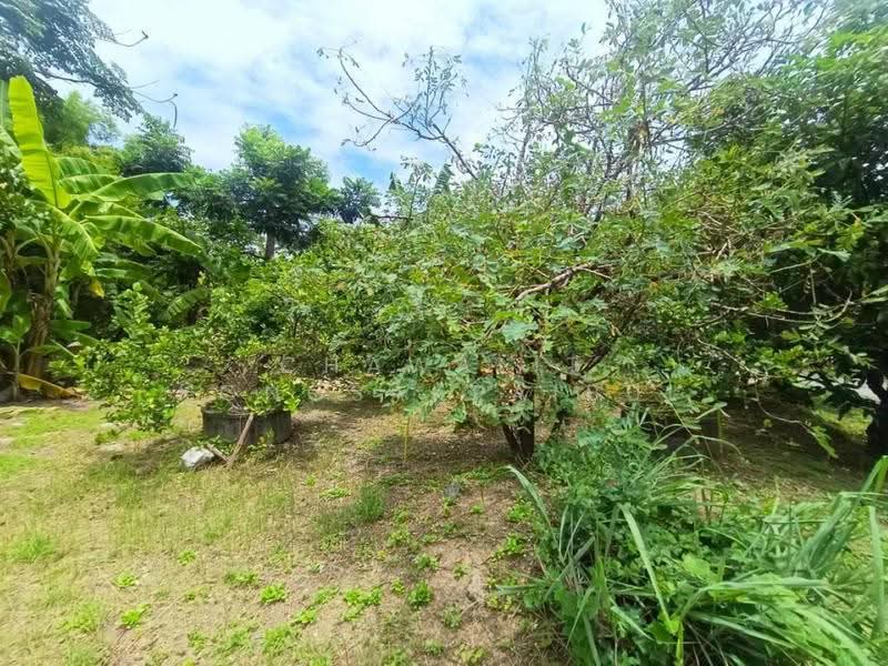 ขาย ที่ดิน 1 ไร่ ซอยสุขาภิบาล 5 ซอย18 ซอยเปลื้องอุทิศ หน้ากว้าง 31 เมตร ติดคลองหนองบัวบาน., กรุงเทพ, สุขาภิบาล 5, ท่าแร้ง, บางเขน, กรุงเทพ, 1,600 ตร.ม., ที่ดิน ขาย, โดย CHAWALIT KONGSAKPAIBUL, 500555049 - DDproperty.com