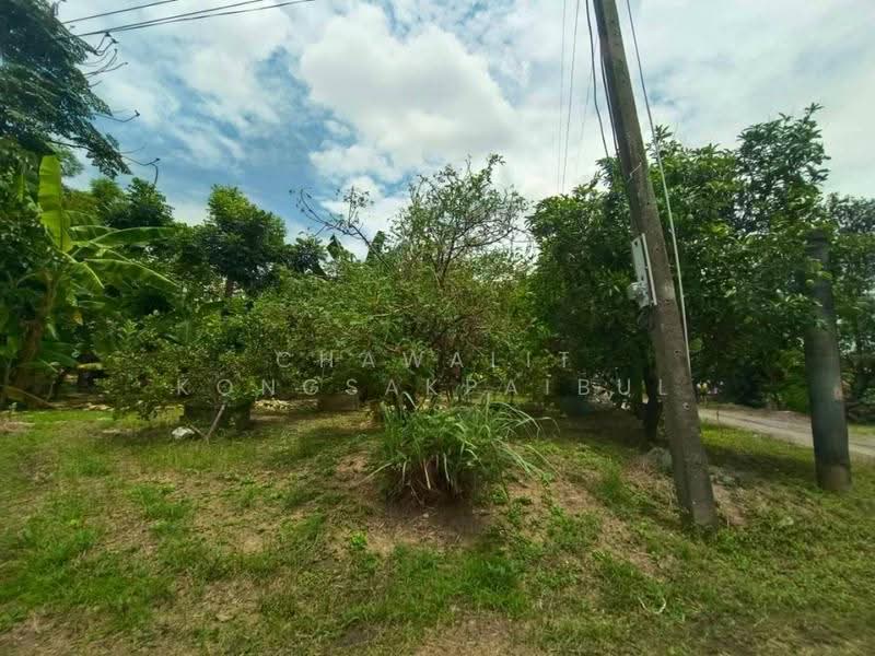 ขาย ที่ดิน 1 ไร่ ซอยสุขาภิบาล 5 ซอย18 ซอยเปลื้องอุทิศ หน้ากว้าง 31 เมตร ติดคลองหนองบัวบาน., กรุงเทพ, สุขาภิบาล 5, ท่าแร้ง, บางเขน, กรุงเทพ, 1,600 ตร.ม., ที่ดิน ขาย, โดย CHAWALIT KONGSAKPAIBUL, 500555049 - DDproperty.com