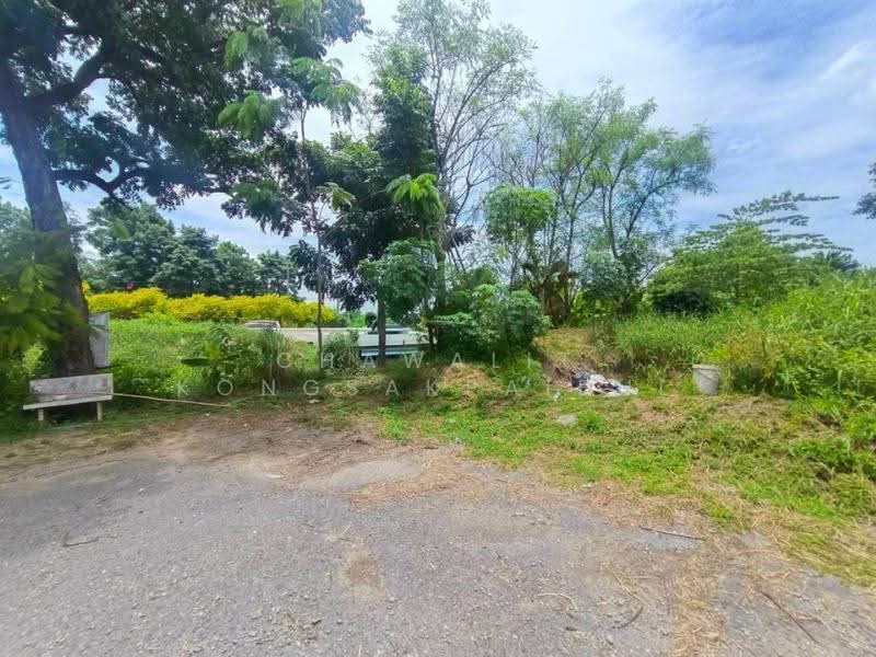 Land for Sale: 1 Rai – Soi Sukhaphiban 5 Soi 18 (Soi Plueang Uthit). 31-meter frontage, Bangkok, สุขาภิบาล 5, Tha Rang, Bang Khen, Bangkok, , 1,600 sqm, Land For Sale, by CHAWALIT KONGSAKPAIBUL, 500555049 - DDproperty.com