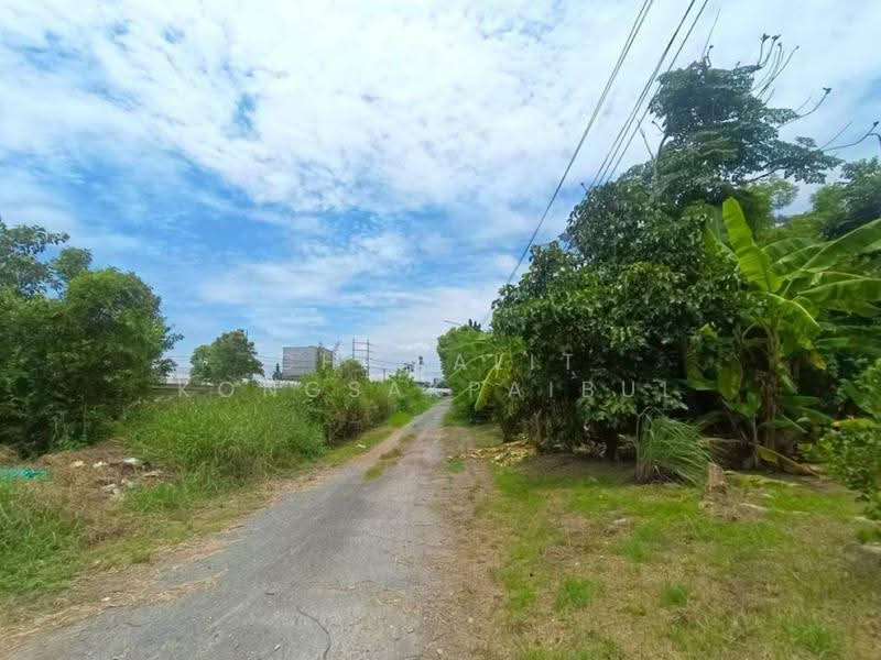 Land for Sale: 1 Rai – Soi Sukhaphiban 5 Soi 18 (Soi Plueang Uthit). 31-meter frontage, Bangkok, สุขาภิบาล 5, Tha Rang, Bang Khen, Bangkok, , 1,600 sqm, Land For Sale, by CHAWALIT KONGSAKPAIBUL, 500555049 - DDproperty.com